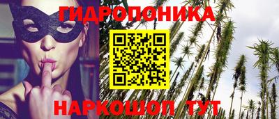 мдпв Лесосибирск