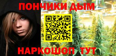 гашик Ливны
