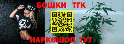 гашик Ливны