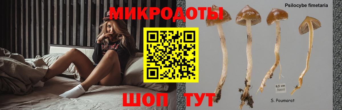 Ипатово  Галлюциногенные грибы мицелий  Вход с VPN 