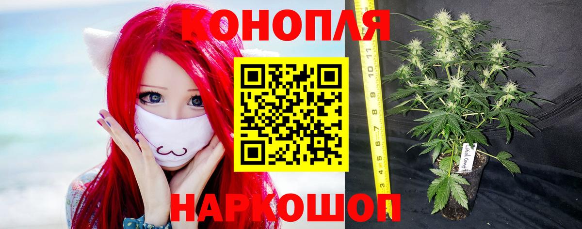 Ипатово  Каннабис White Widow  Вход с VPN  Конопля Bruce Banner 